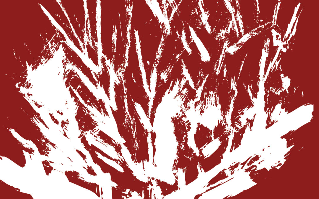 Graphisme et mémoire : 80 ans d’histoire en revue